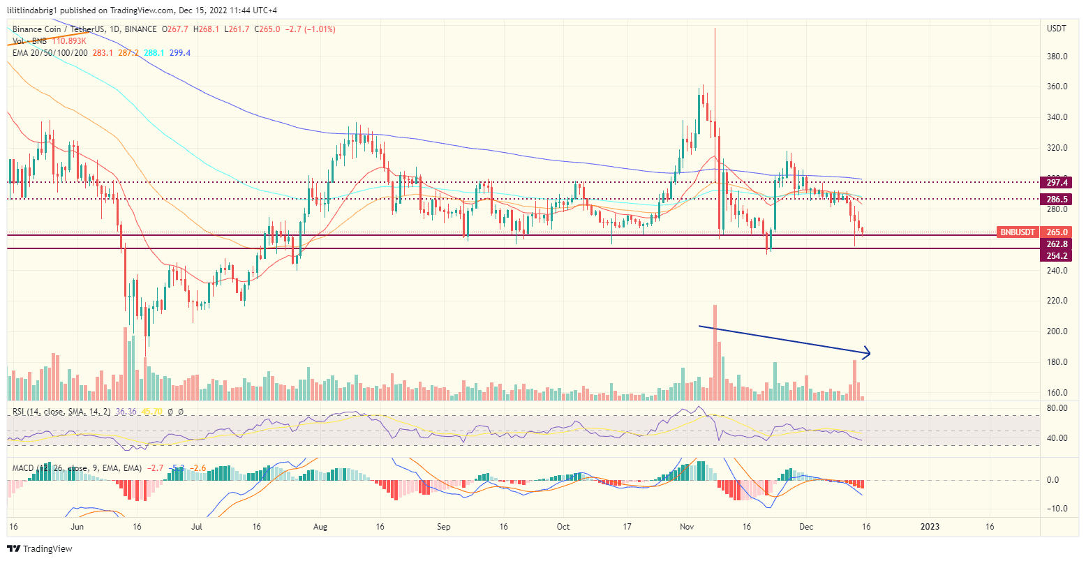 Binance coin (BNB) is on its way to $255. 