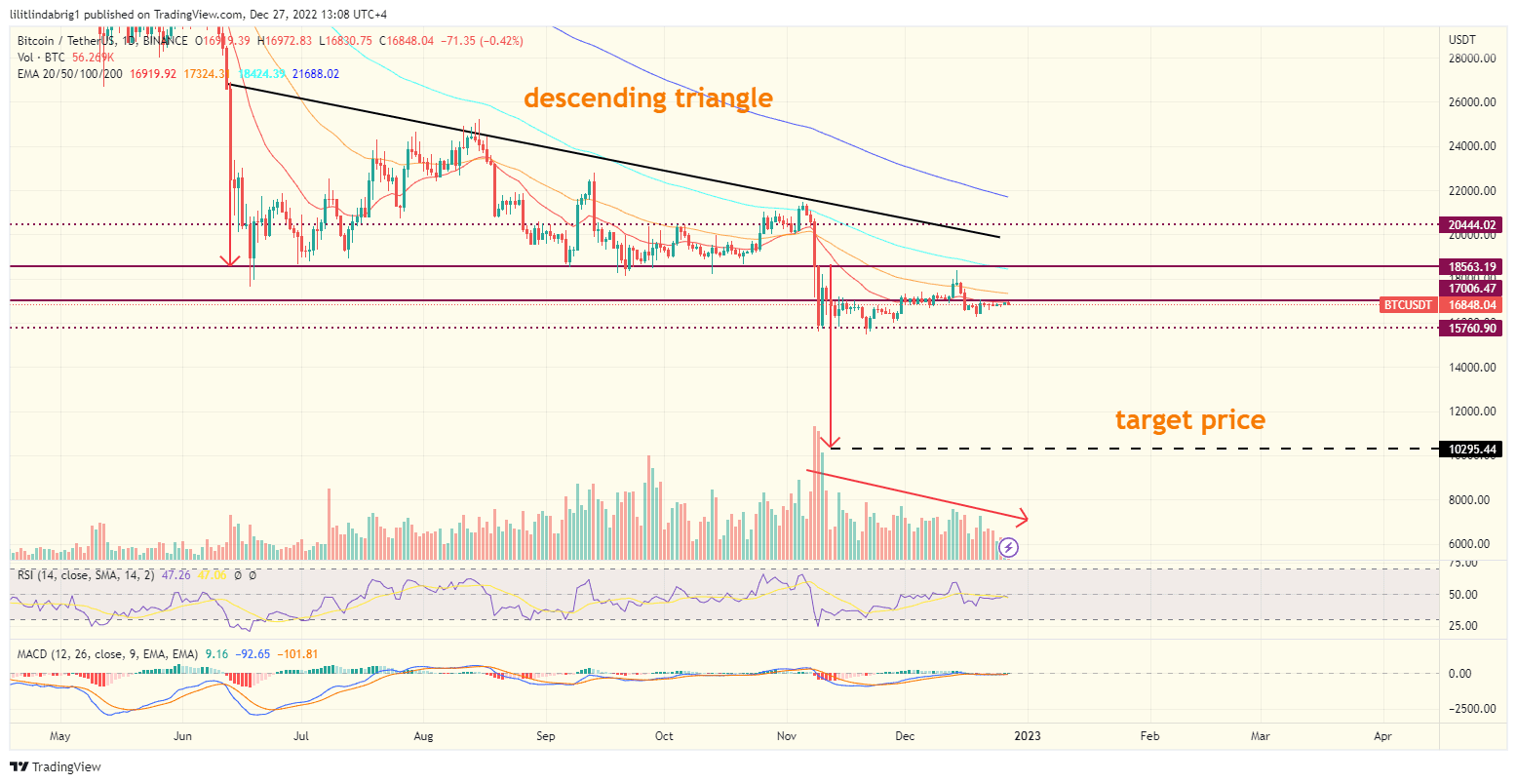 Bitcoin (BTC) daily price action chart. Source: TradingView.com
