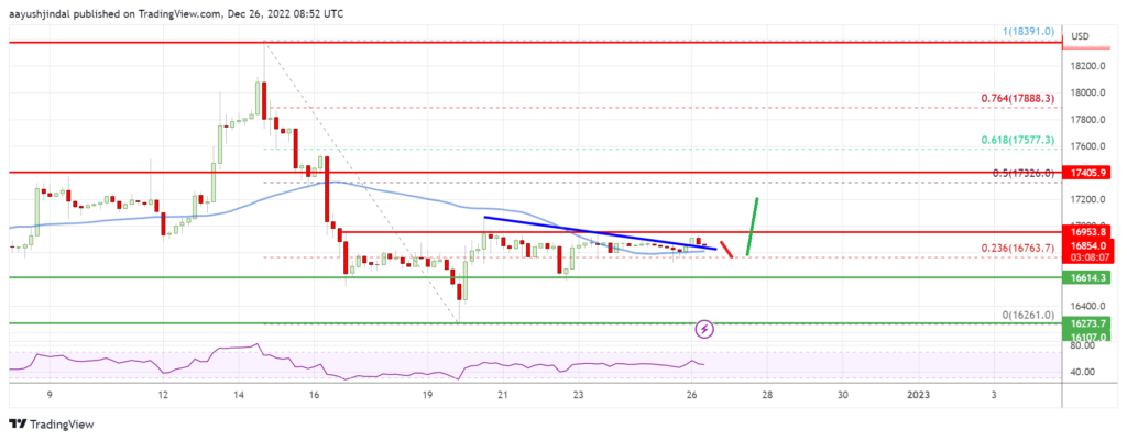 bitcoin, Bitcoin Price Shows Signs of Reversal But This Resistance Is The Key
