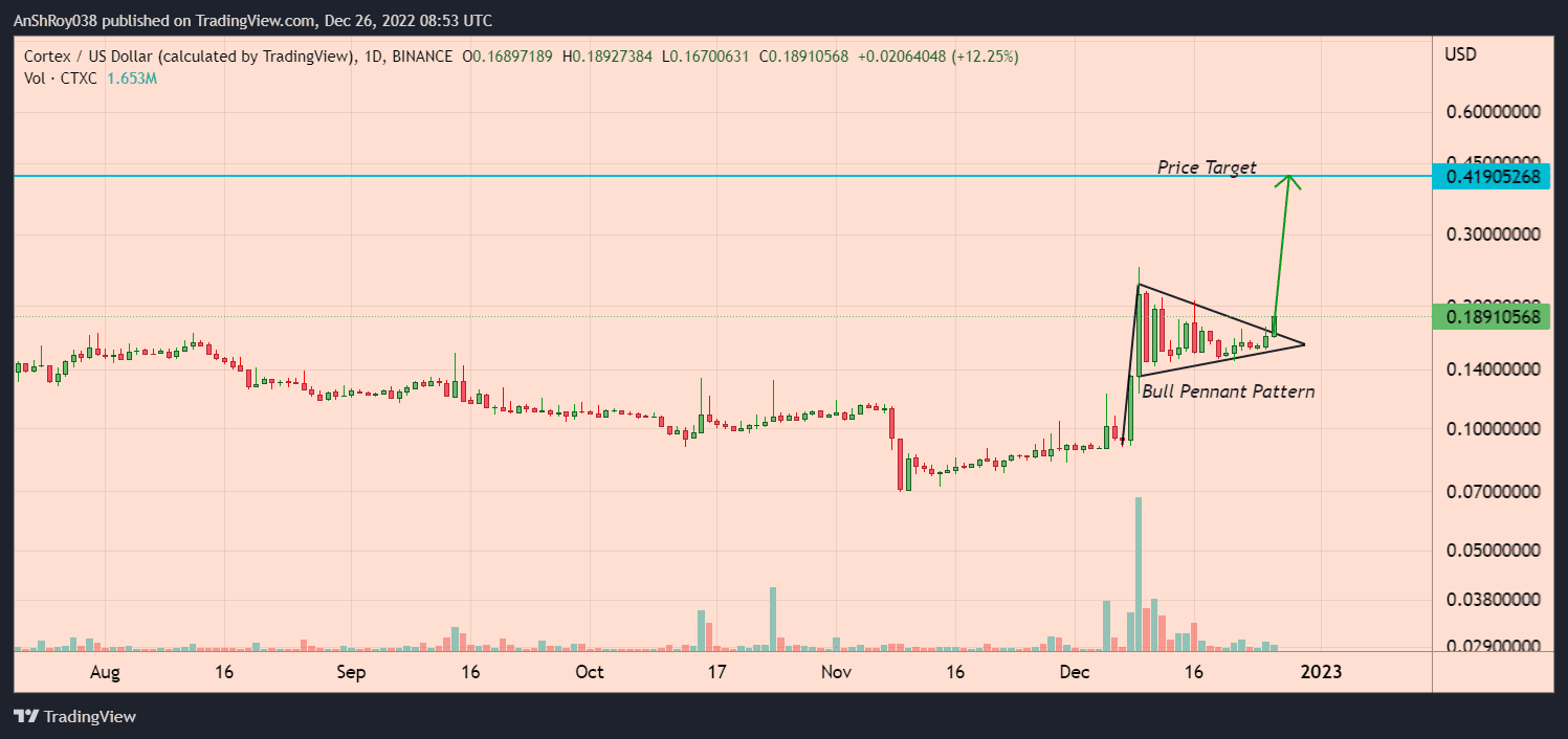 Cortex's CTXC token price has formed a bull pattern with a 121% price target