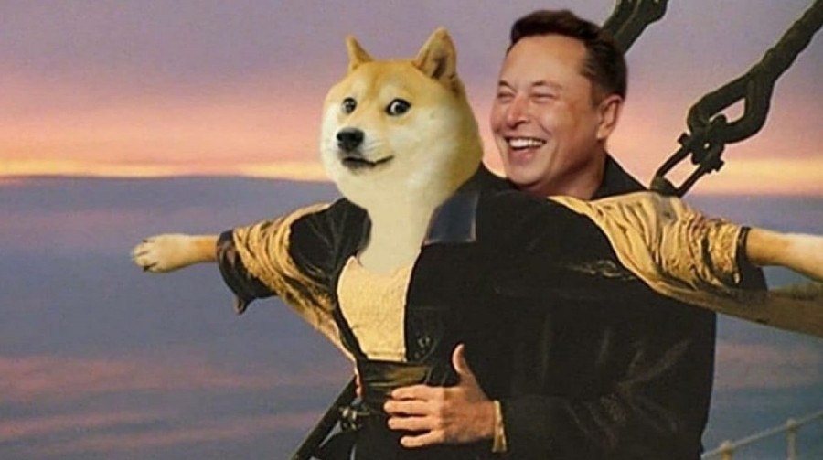 What Happens to Dogecoin If Elon Musk Quits as Twitter CEO