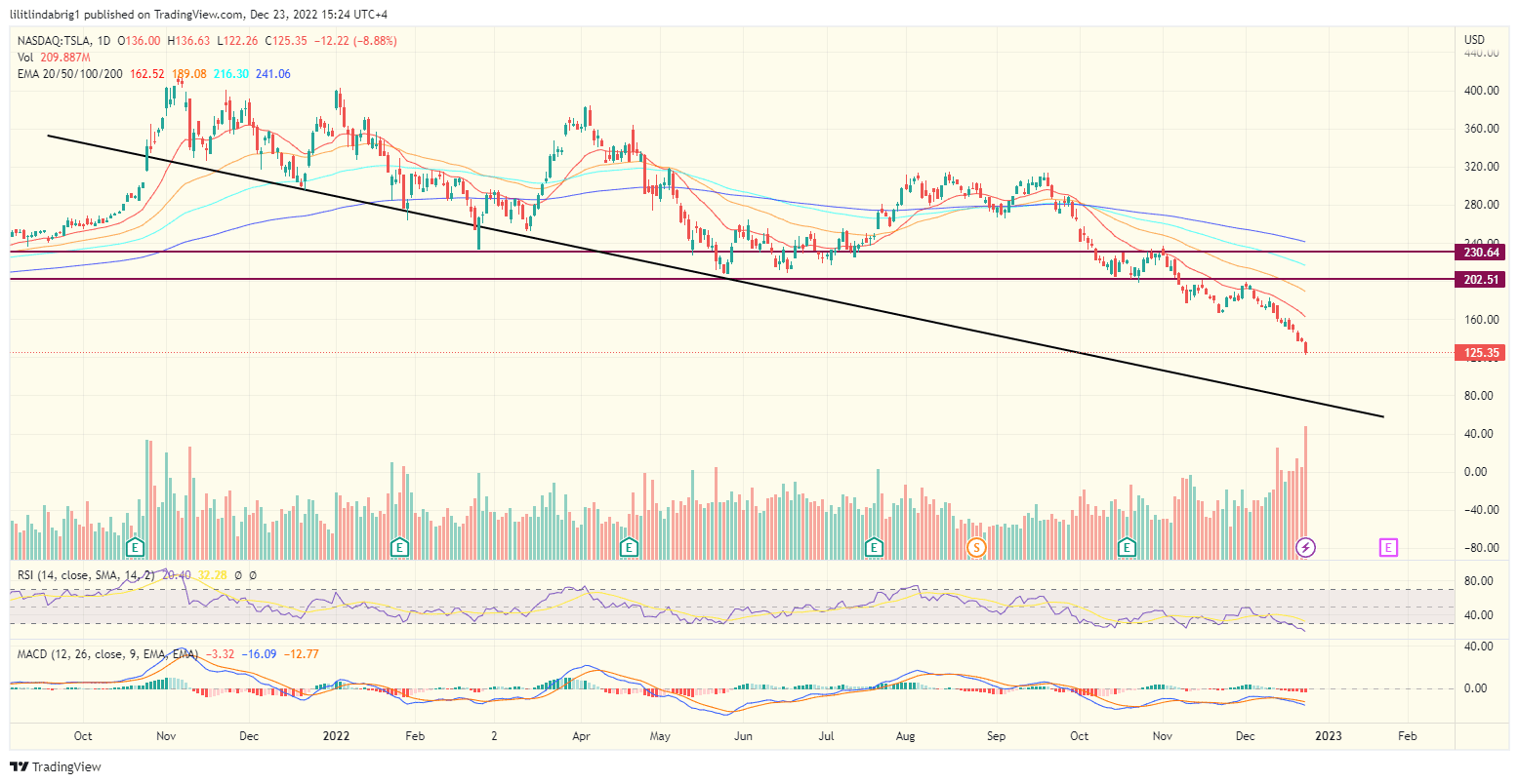 Tesla stock (TSLA) daily price chart. 