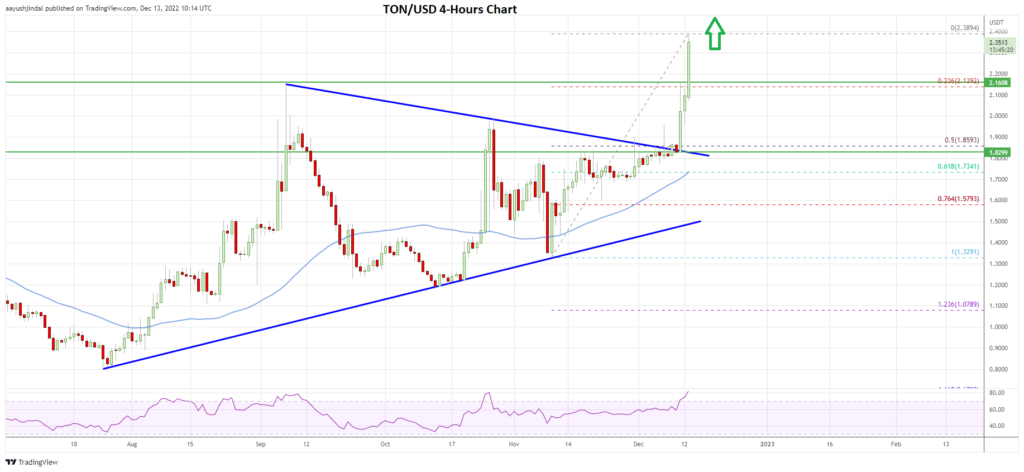 Toncoin price daily chart