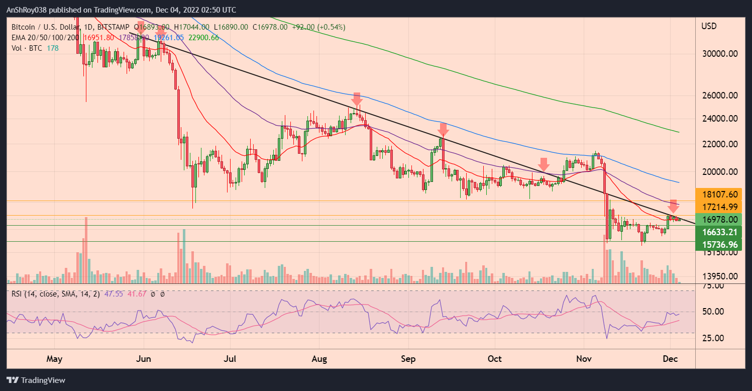 BTC to USD daily chart with RSI
