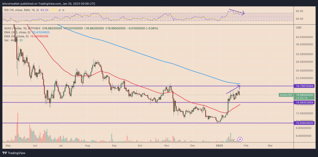 Avalanche (AVAX) price daily chart. Source: TradingView