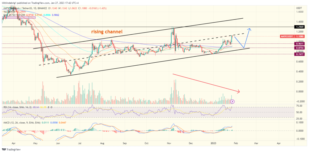 Polygon (MATIC) daily chart featuring a rising channel. Source: TraingView.com