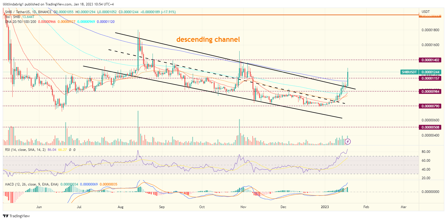 Shiba Inu coin price jumps 20% Shiba Inu coin price jumps 20%