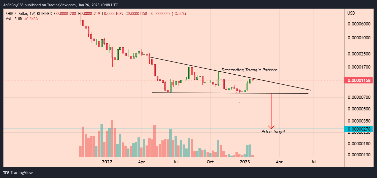 Shiba Inu's SHIB token formed a bearish triangle pattern with a -76% price target