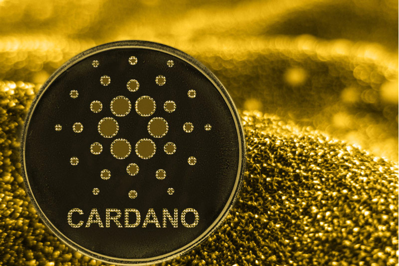 Cardano (ADA) is another project that might spark the next cryptocurrency bull run. 