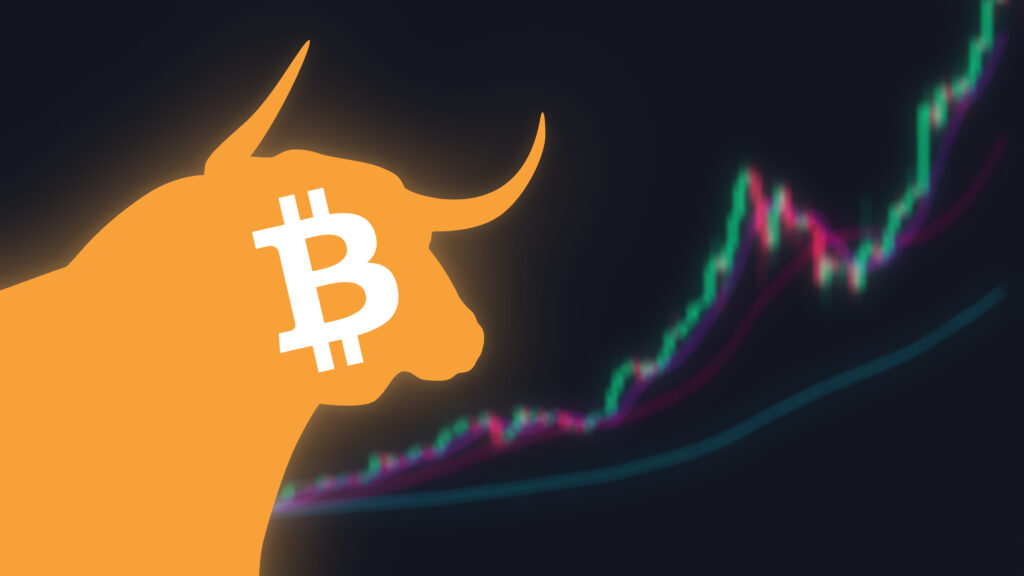 Most Became First-Time Crypto Users During Bull Runs — Poll