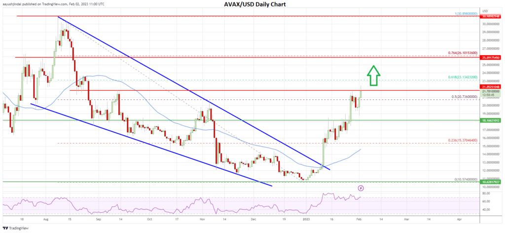 AVAX price daily chart 