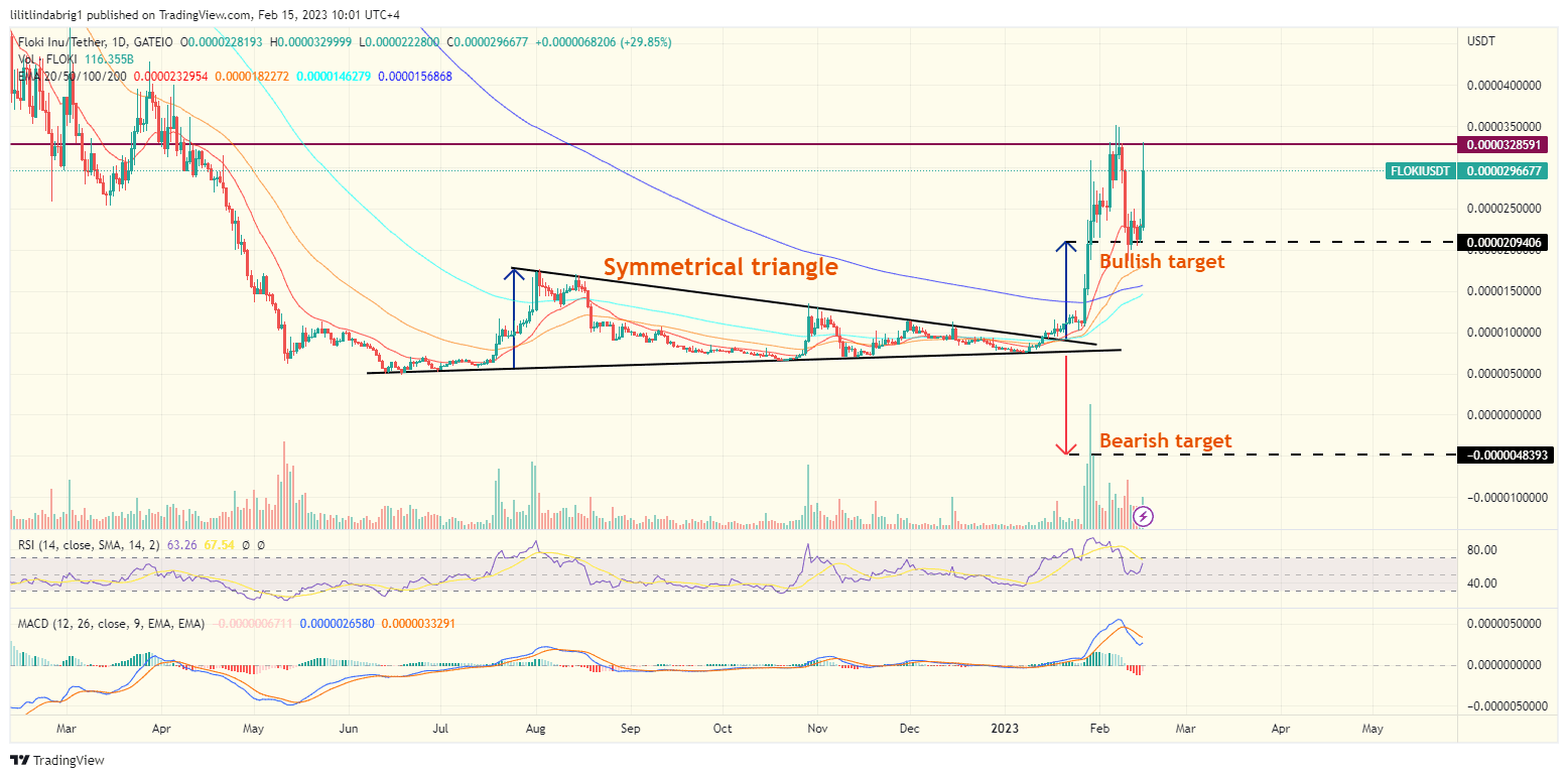 Floki Inu coin (FLOKI) daily price chart. Floki Inu coin (FLOKI) daily price chart.