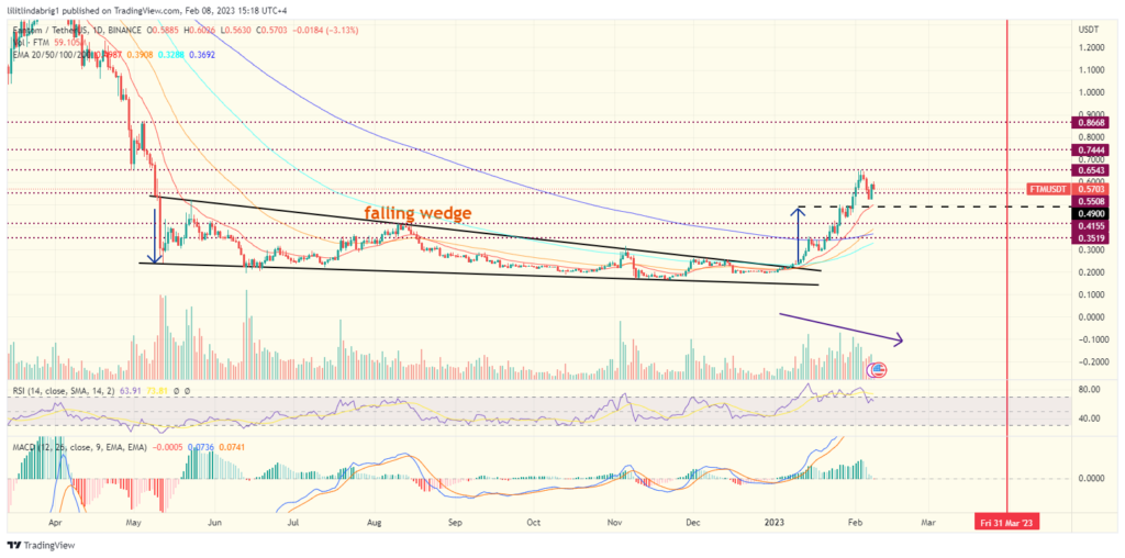 Fantom (FTM) daily price chart. Source: TradingView.com 