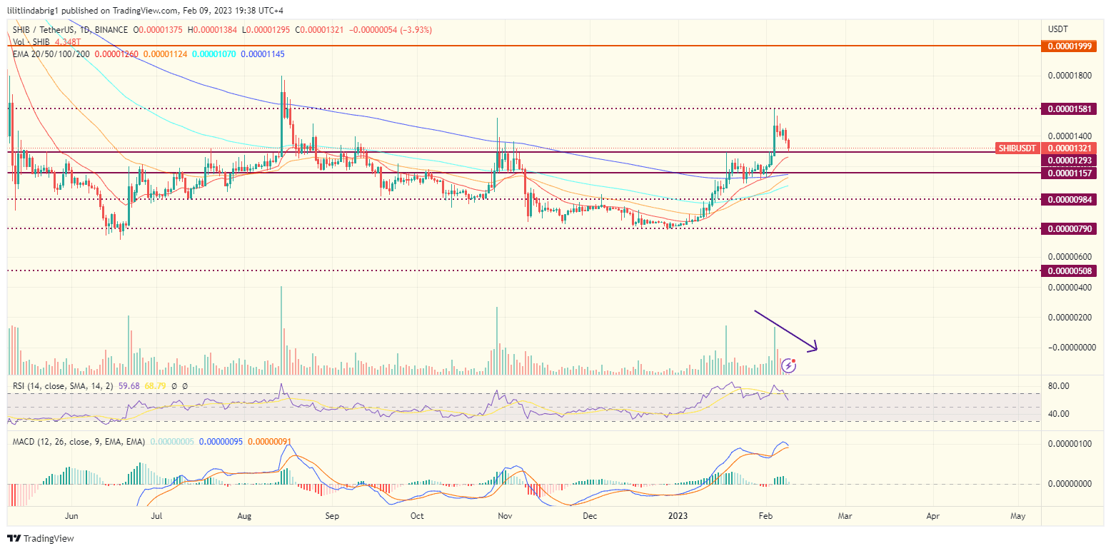 Shiba Inu (SHIB) daily price chart. Source: TradingVIew.com 