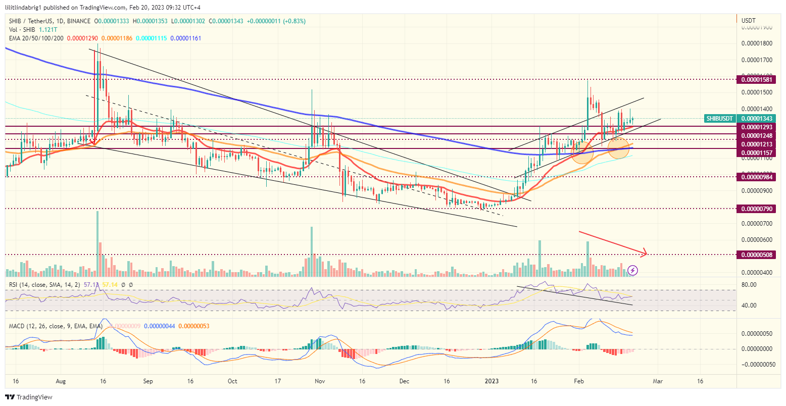 Shiba Inu coin price (SHIB) daily chart. Source: TradingView.com