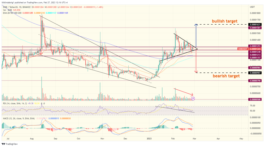 Shiba Inu (SHIB) daily chart. Source: tradingView.com 