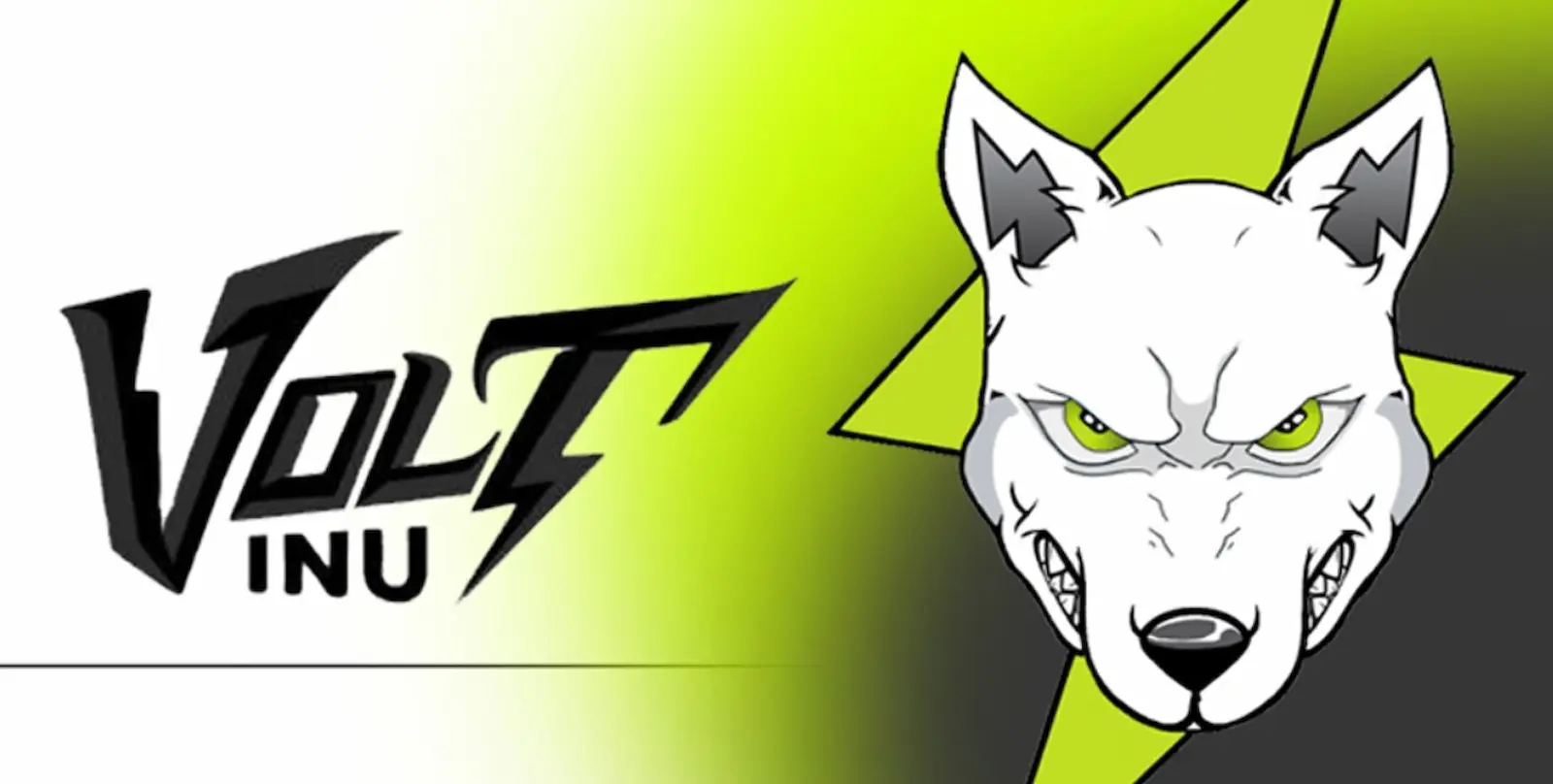 Volt Inu token price spiked on news of Polygon listing and token burn.