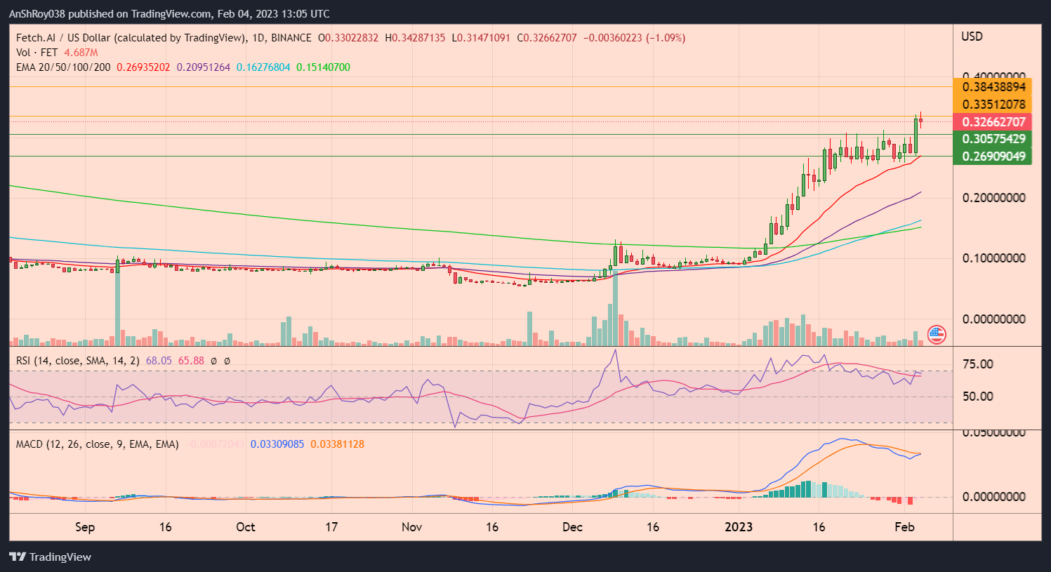 FET/USD daily chart with RSI and MACD