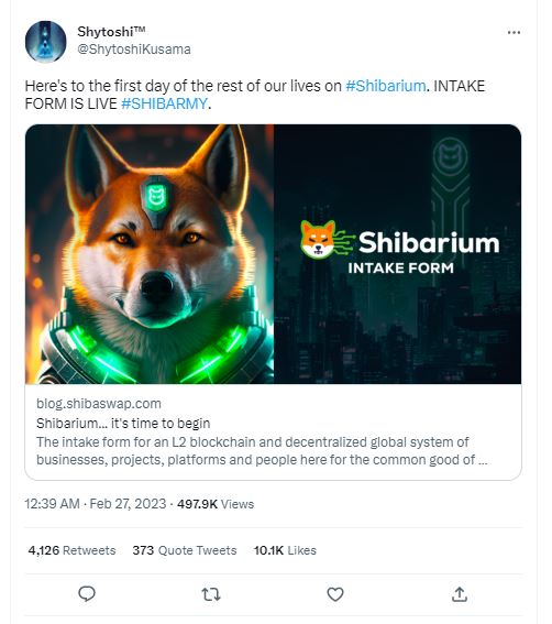 shiba inu coin, Shiba Inu Coin At Risk of Plunging 25% by March — Here&#8217;s Why