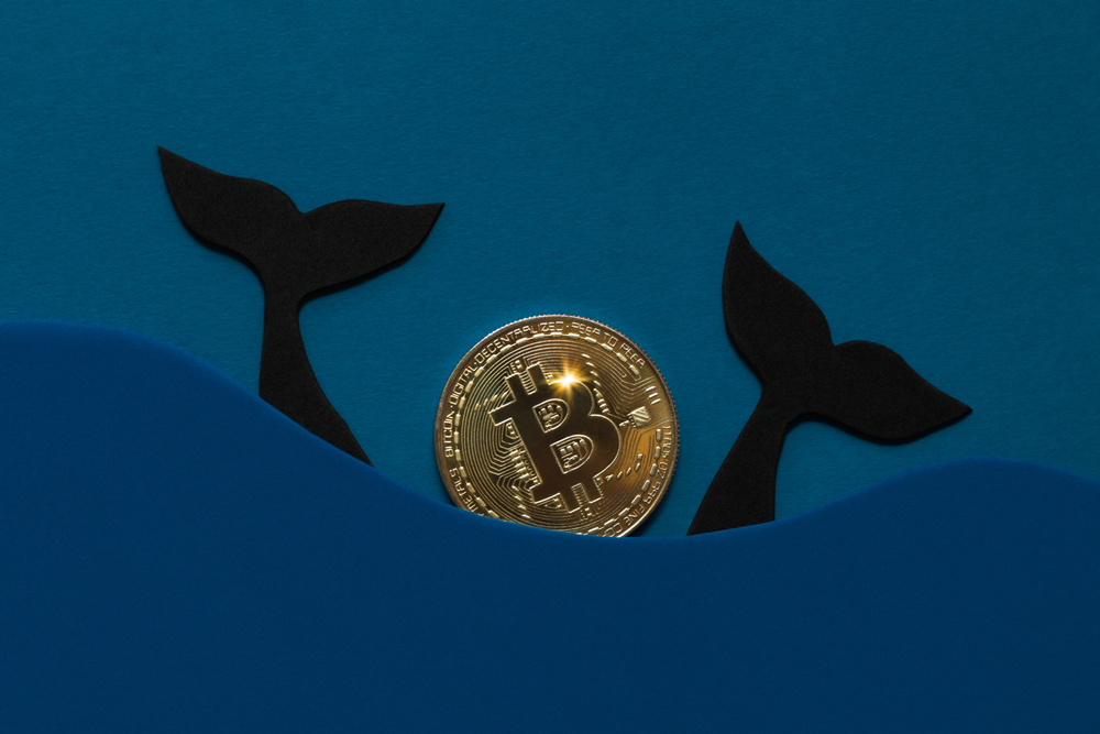 
Bitcoin Whale Concept. Manipulated currency valuations
