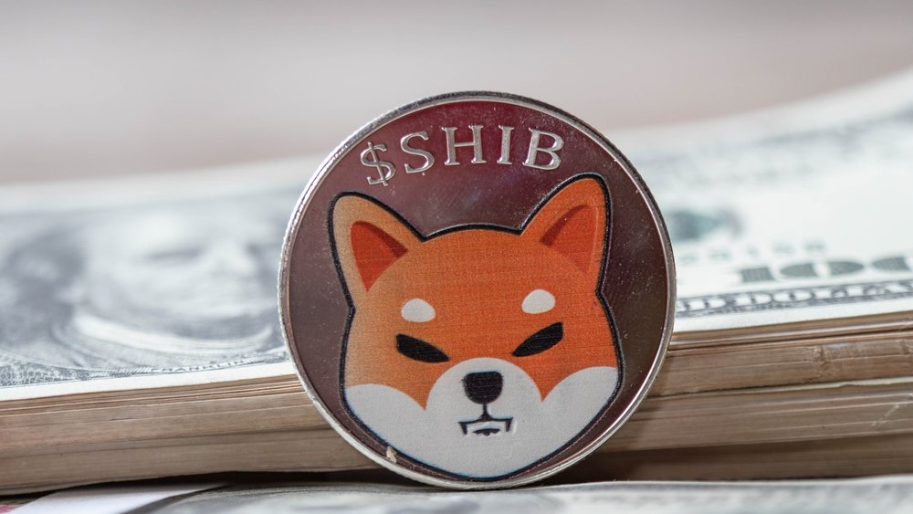 A digital coin named Shib is lying on the Dollar money, have copy spade.