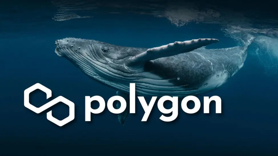 Polygon (MATIC) Price Analysis - Crypto Whales Investing in Avorak AI ICO