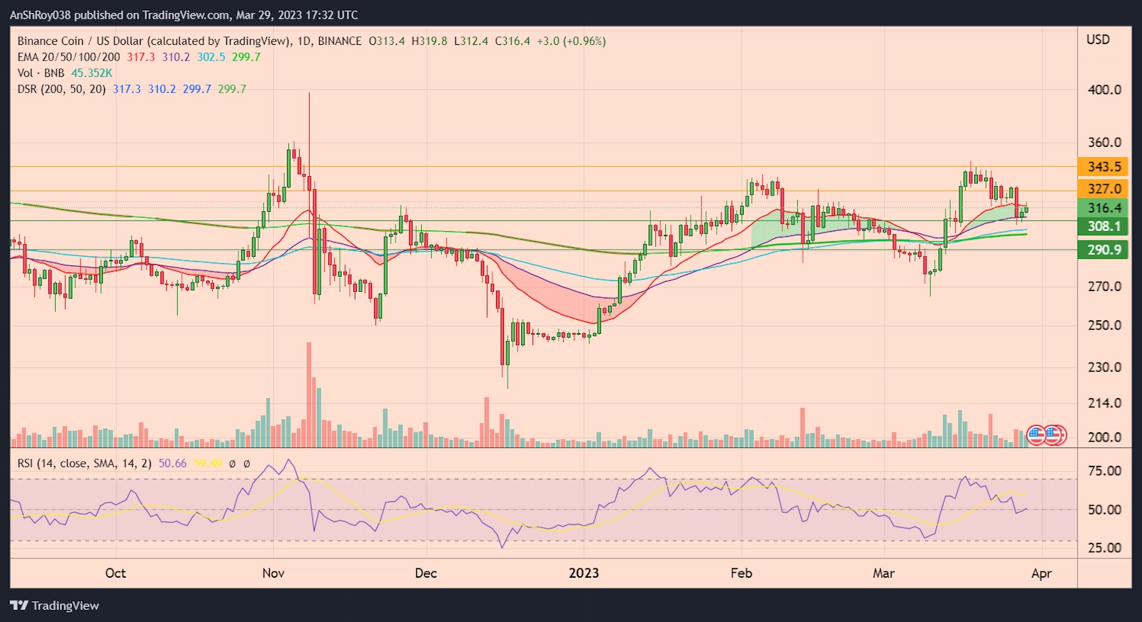 BNBUSD daily chart with RSI