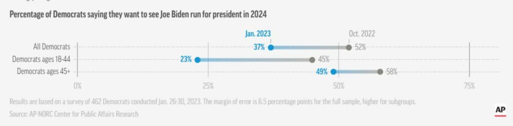 Biden, Biden vs Trump in 2024- US voters between the rock and the hard place