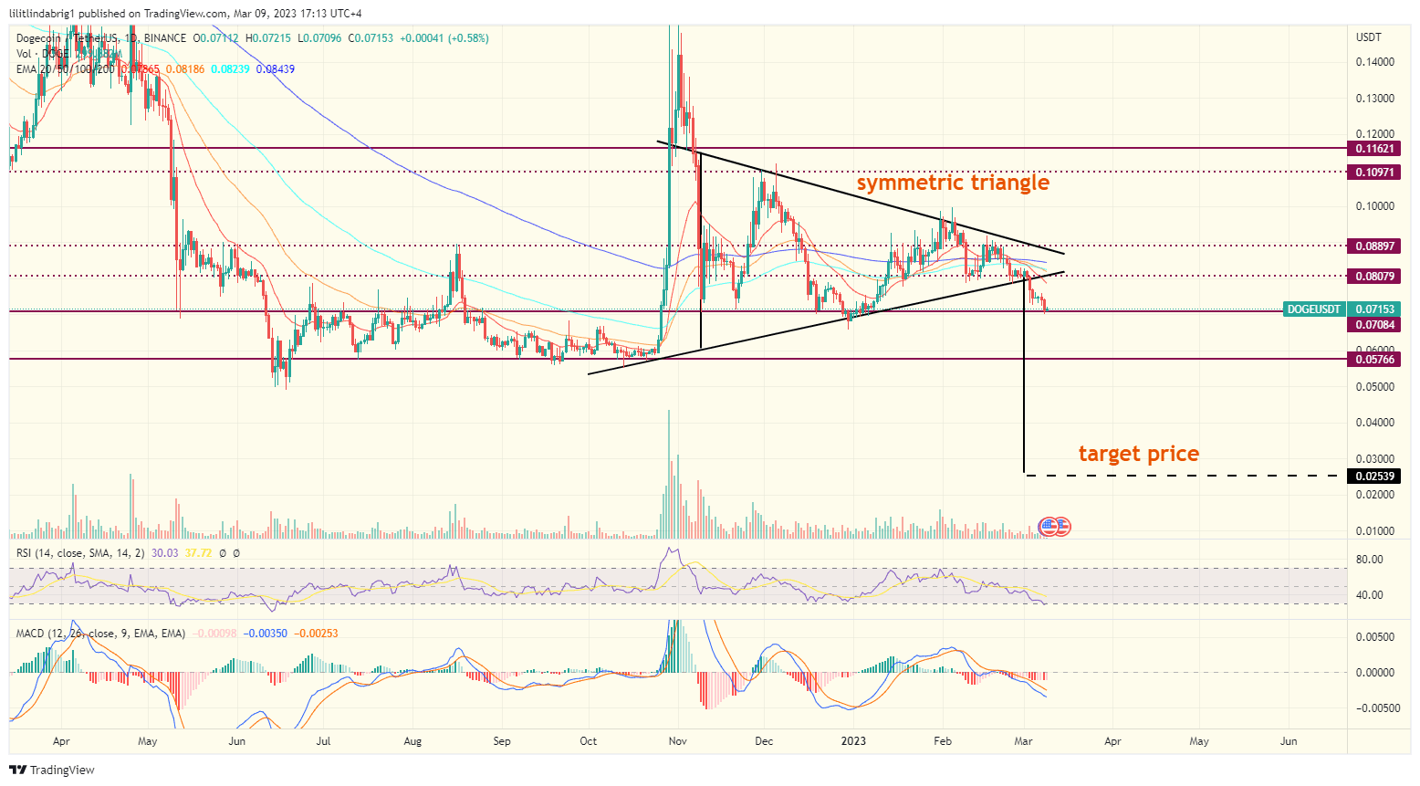 Dogecoin (DOGE) daily price action. Source: TradingVIew.com  halli elon musk dogecoin