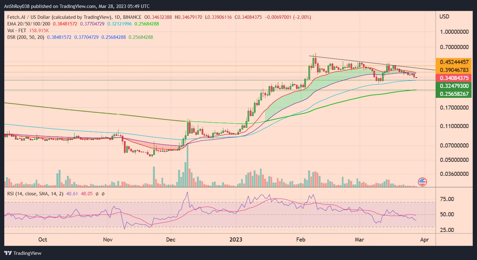 FETUSD daily chart with RSI