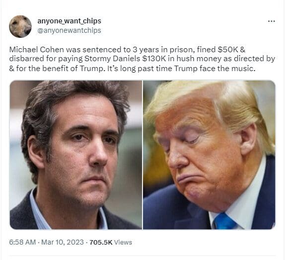 Donald Trump's former lawyer pleaded guilty on several charges, including paying off Stormy Daniels 