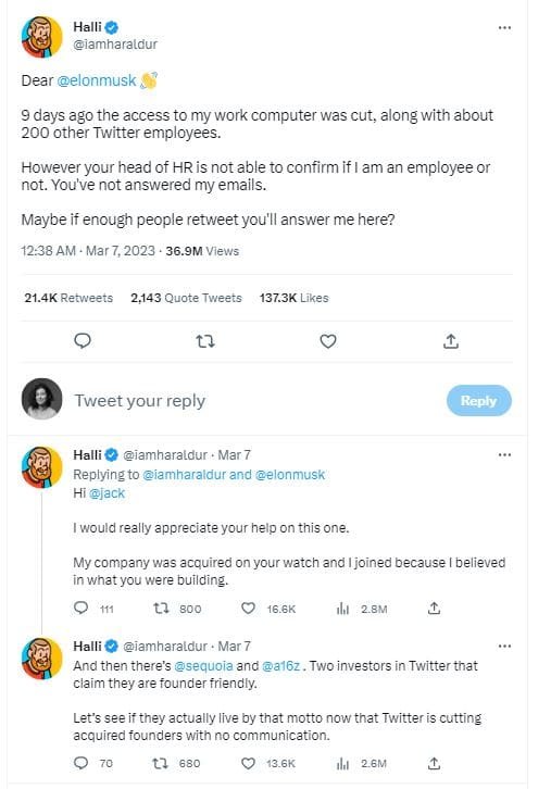 halli elon musk dogecoin