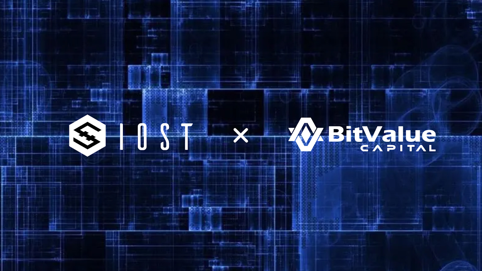 , BitValue Capital Invests $10 Million in IOST to Advance Web3 and AI Integration