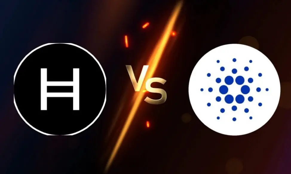 Cardano, Avorak AI and Hedera are all positioned for greatness this year
