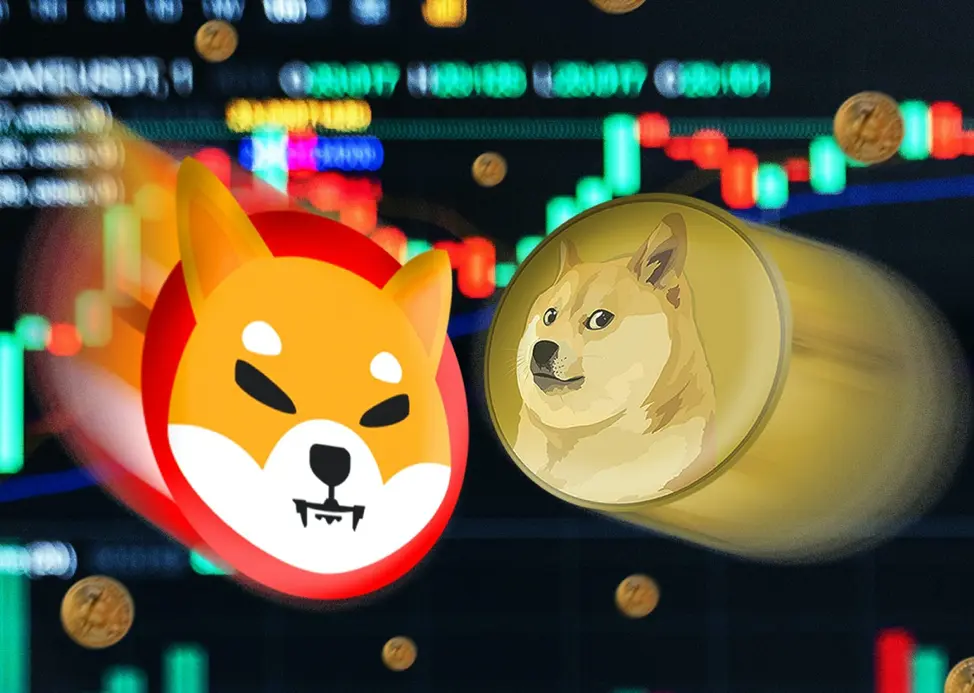 Meme Coins vs AI Crypto - why Dogecoin and Shiba Inu struggle against Fetch.ai or SingularityNET
