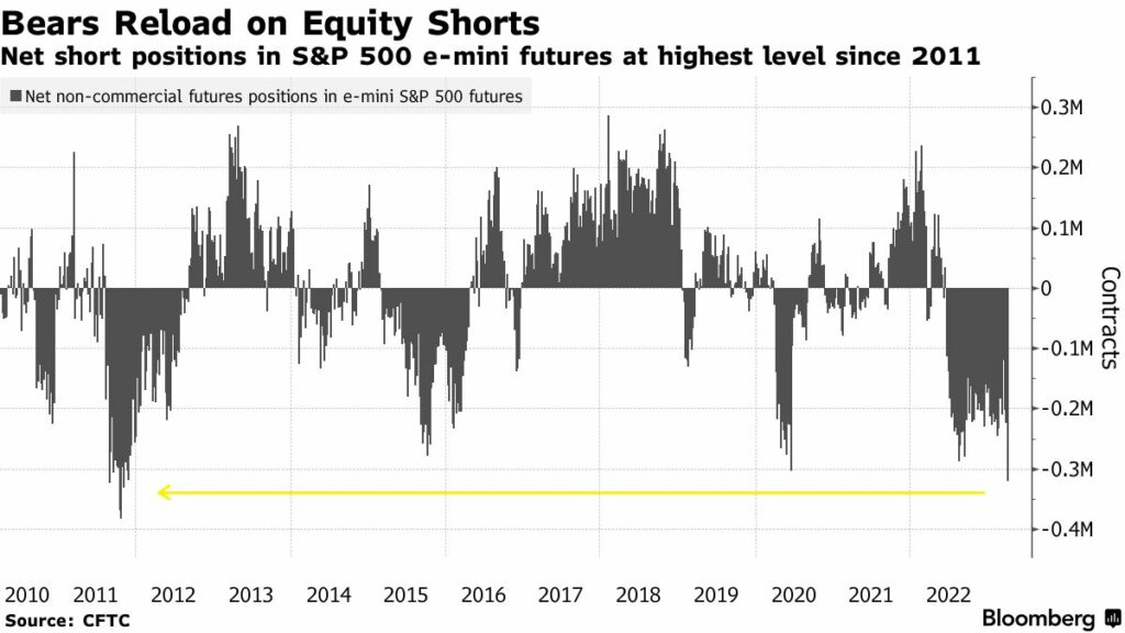 Equity shorts at a decade high. Source: Bloomberg.com 