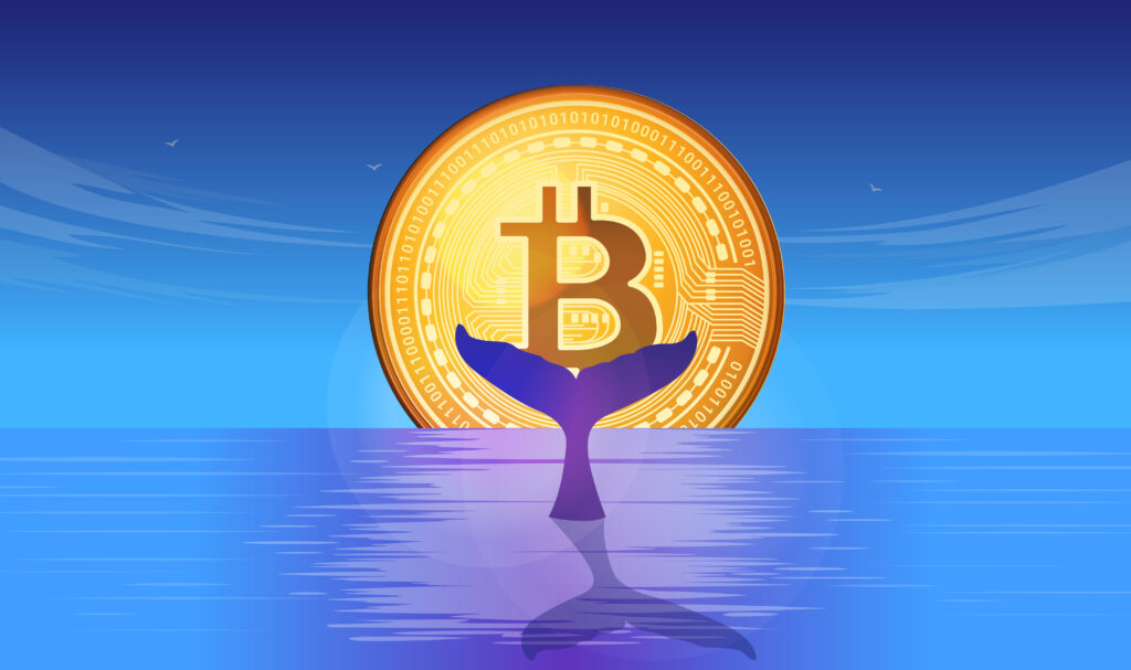 Bitcoin whale - Metaphor illustration with whale tail in ocean, and bitcoin in the horizon. Vector.