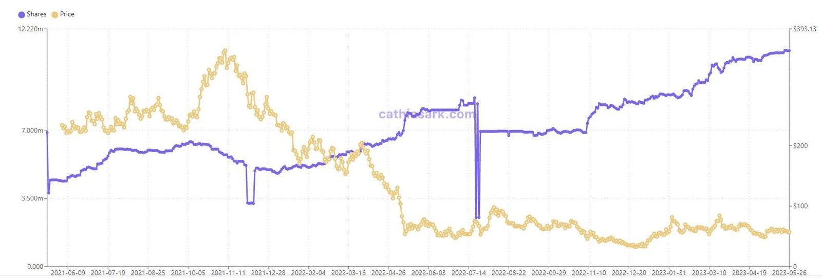 ARK Invest's COIN holdings since 2021. Source: cathiesark.com 