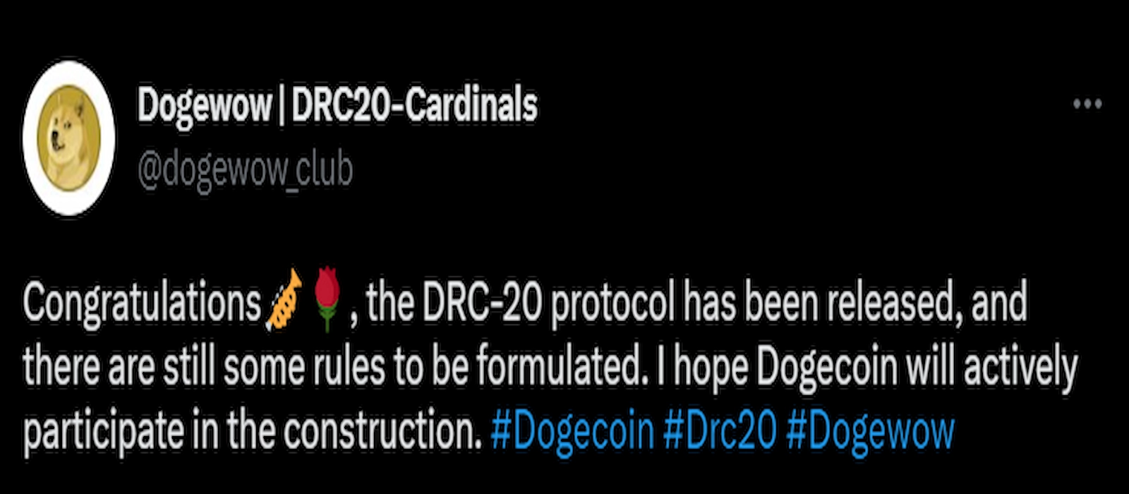 Dogecoin launched the DRC-20 protocol to introduce NFT minting on the blockchain