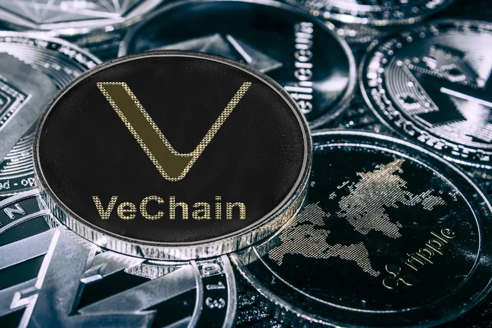 Crypto Experts are Anticipating a Price Rally for VeChain (VET) and DigiToads (TOADS) by the End of the Year