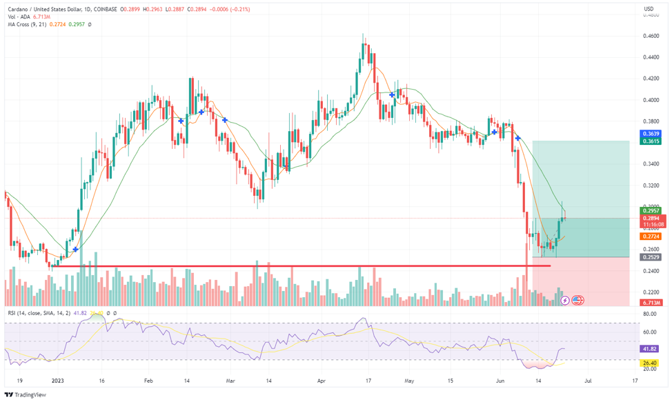 Cardano, Cardano Price Prediction: Can The Recovery Be Sustained? Tradecurve Sets New High