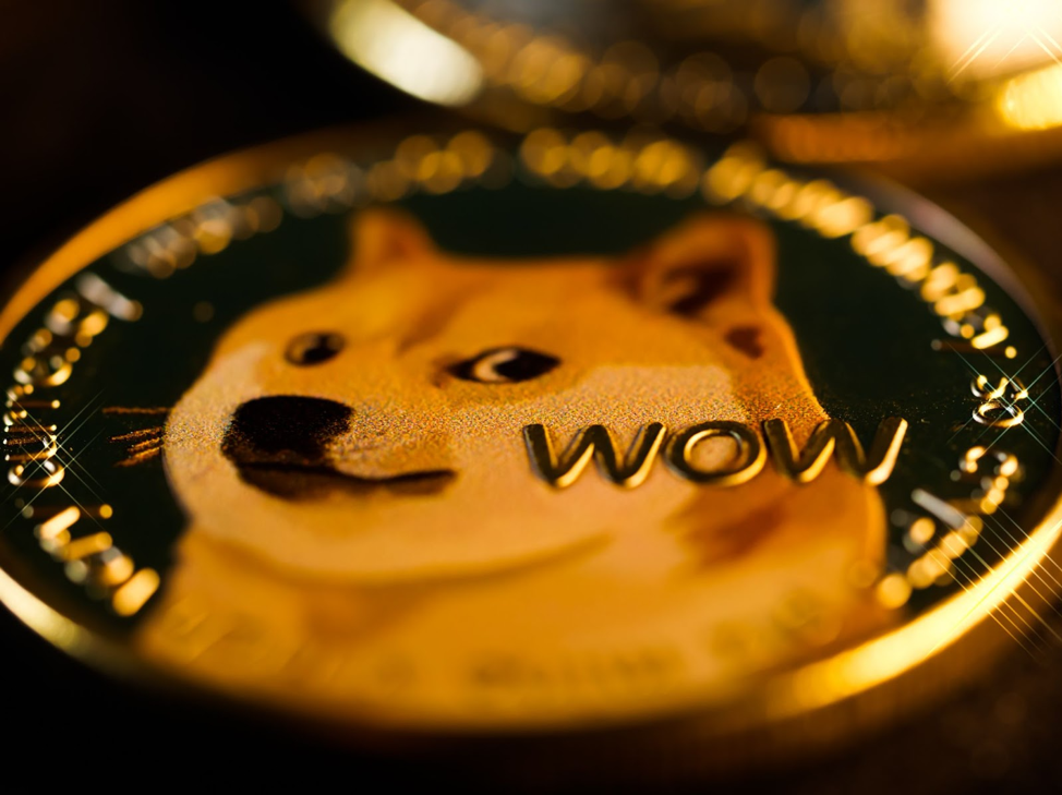 avorak-ai-is-gearing-up-to-surpass-shiba-inu-and-dogecoin-in-gains-this-summer