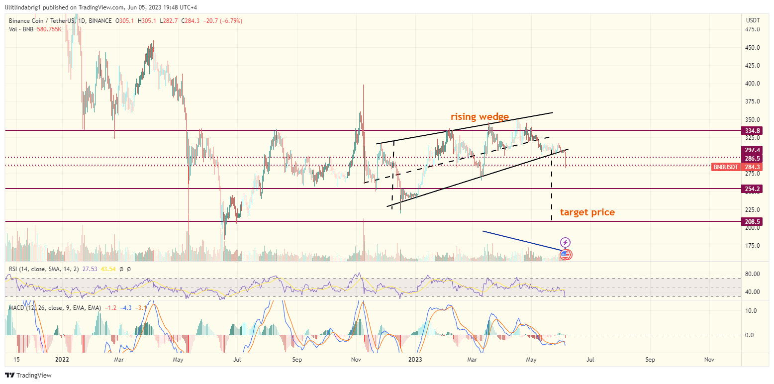 Binance token (BNB) daily price chart. source: TradingView.com