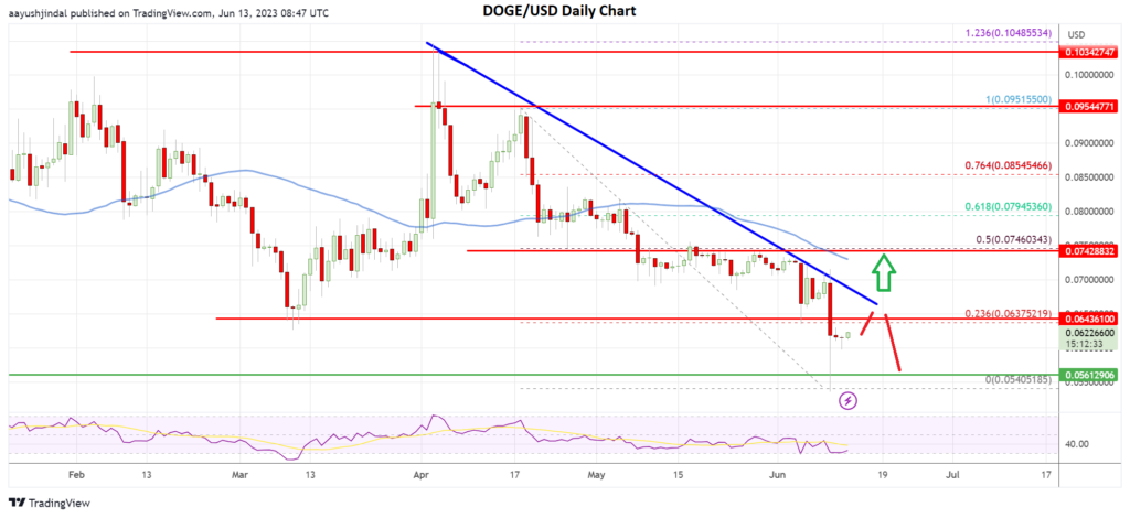 Dogecoin price daily chart