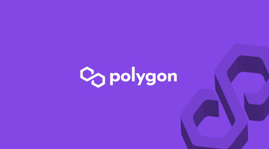 Clash Of The Cryptos: Polygon (MATIC) and Chainlink (LINK) Investors knock Heads, whilst HedgeUp (HDUP) Shows Holders 10X Returns In June