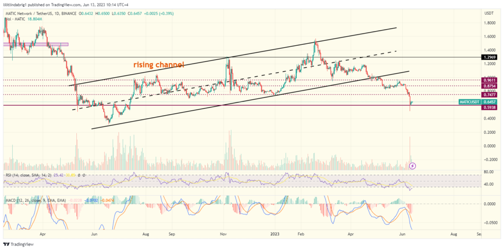Polygon (MATIC) daily price action. Source: TradingView.com 