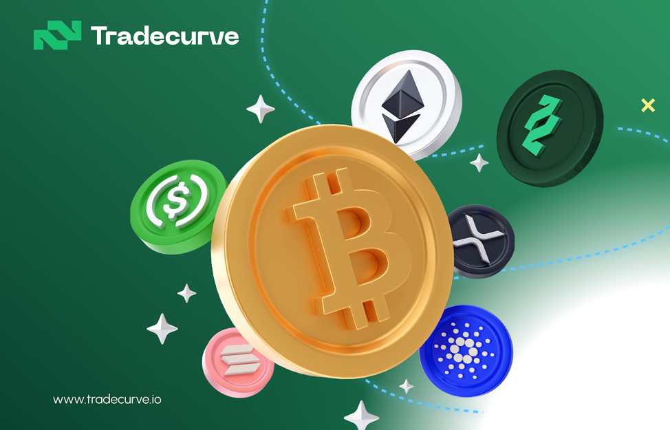 Cardano Price Prediction: Can The Recovery Be Sustained? Tradecurve Sets New High