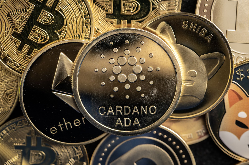 Cardano and Bitcoin Whales Switch to DigiToads Following Growing Bullish Trends