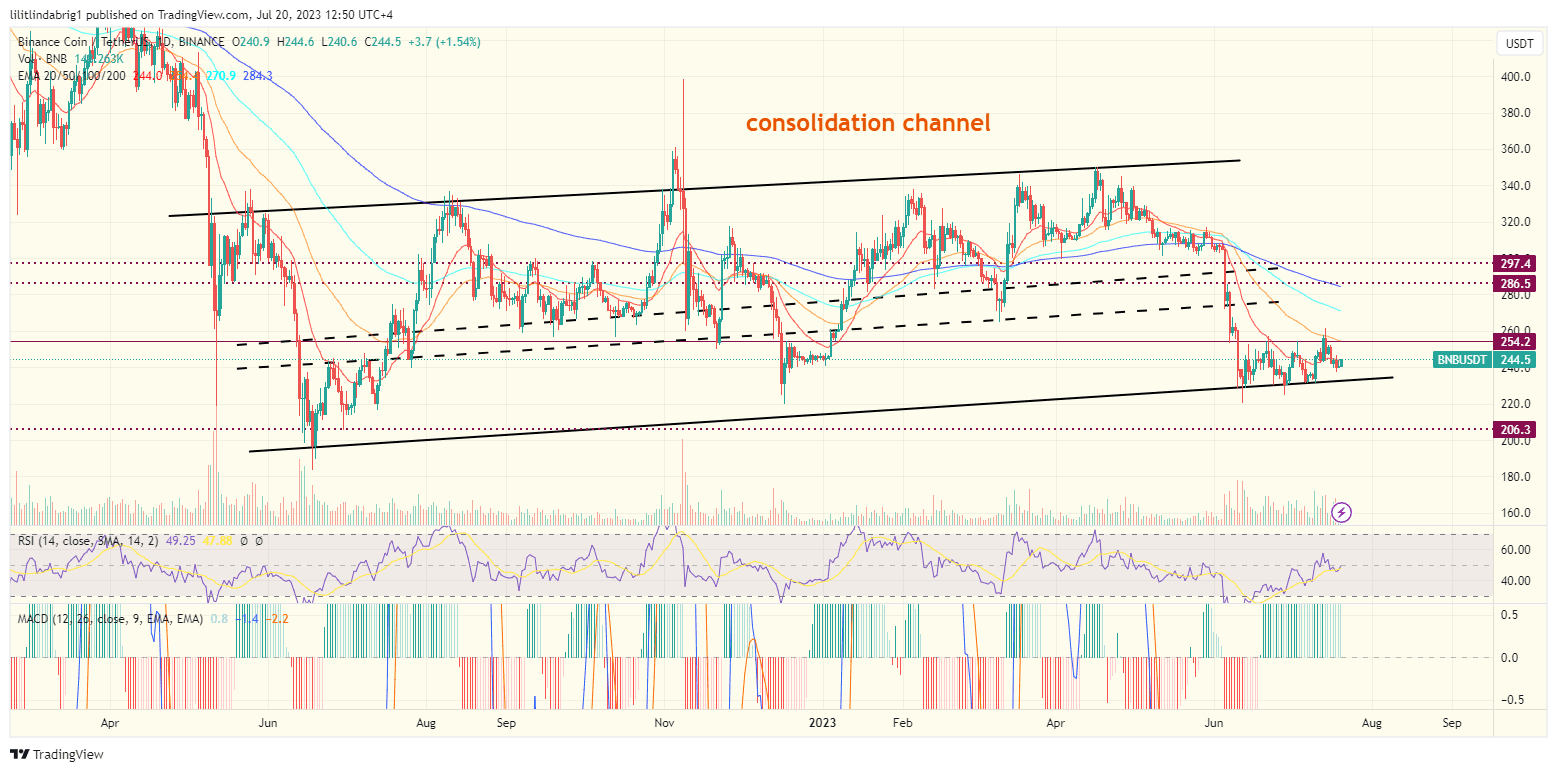 Binance coin (BNB) could drop another 5%. Source: TradingView.com 