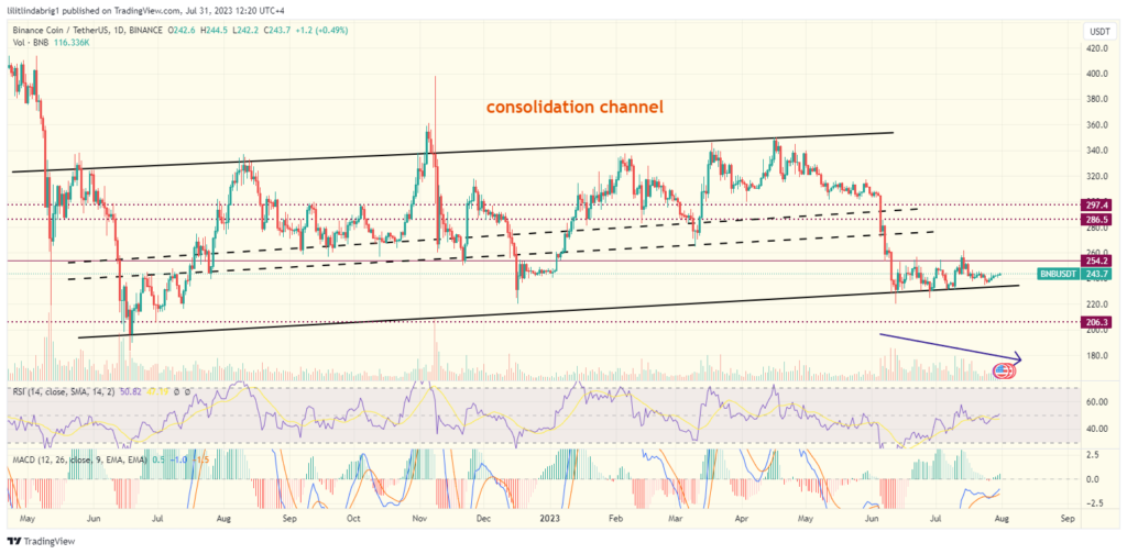 Binance coin (BNB) daily price action. Source: TradingView.com 